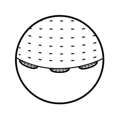 Flat Dots