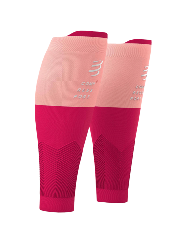 R2v2 Wadensleeves pink